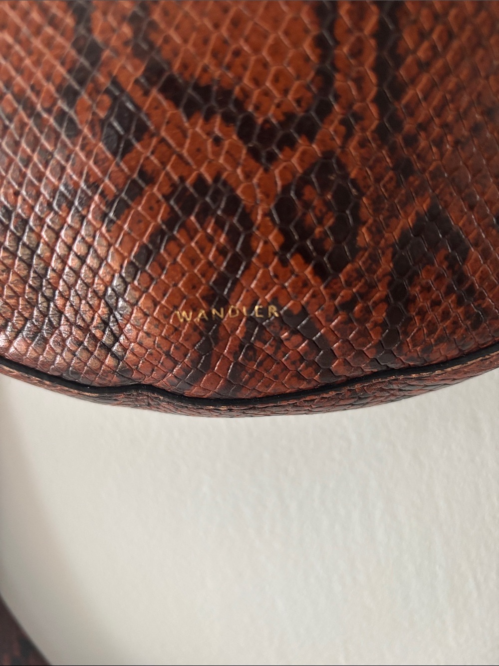 Wandler Hortensia Medium Python Printed Leather Convertible Bag - Picture 3 of 9